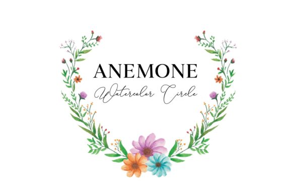 Anemone Flower Watercolor Illustration