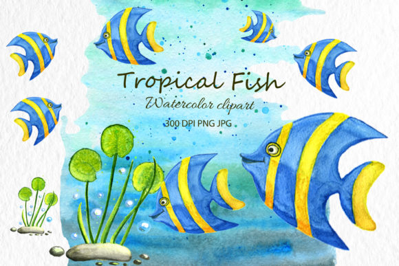 Animal Clip Art Fish Watercolor Animal