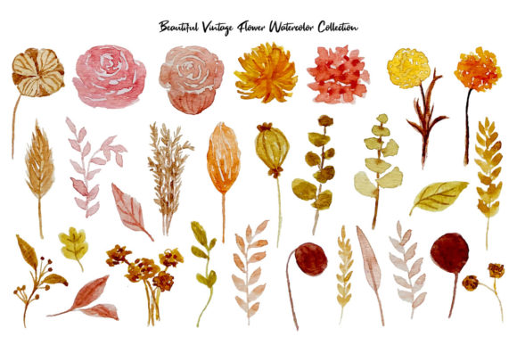 Beautiful Vintage Flowers Watercolor
