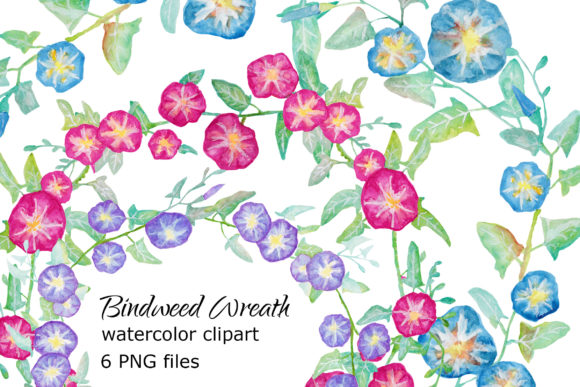 Bindweed Wreath Watercolor Clipart & Illustrations