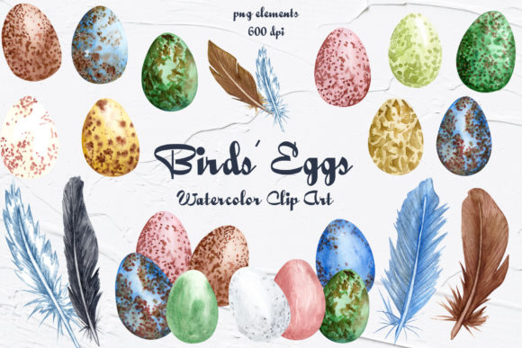 Birds Eggs Watercolor Clipart: Soft Illustrations