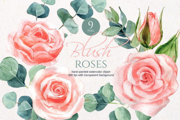 Blush Watercolor Roses: A Designer's Review for Real Projects