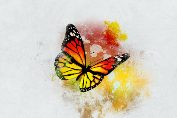 Butterfly Watercolor Digital Paper and Illustrations