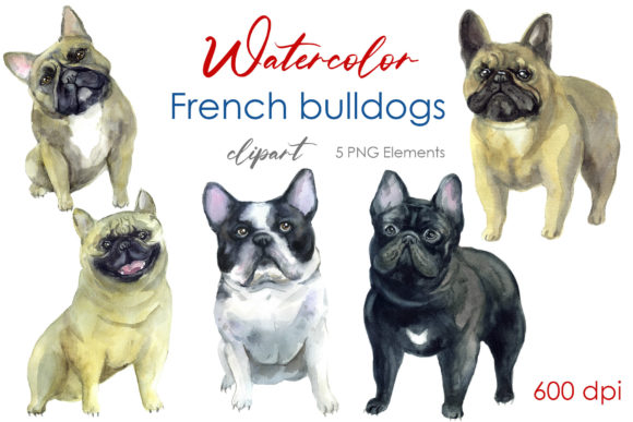Cute Clipart. Watercolor Pet. Dog Lover