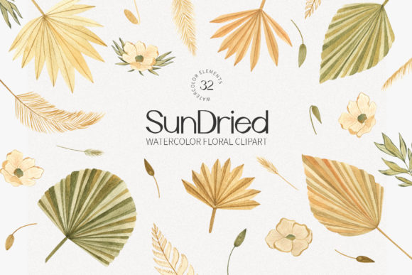Dried Boho Floral Watercolor Clipart & Illustrations