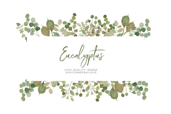 Eucalyptus Clipart, Watercolor Floral Illustrations