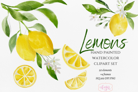 Hand Painted Watercolor Lemon Clipart and Illustrations