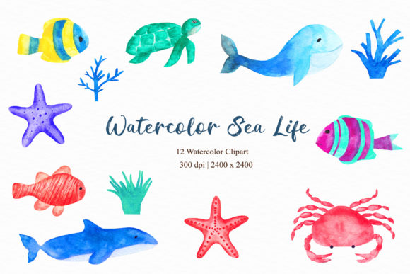 Reviewing Watercolor Sea Life Clipart for Embroidery