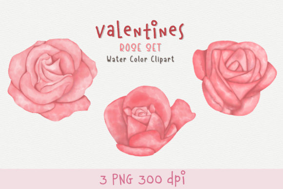 Rose Watercolor Clipart Set and Illustrations