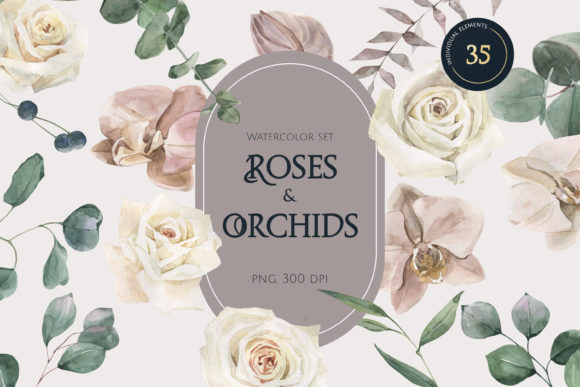 Roses and Orchids Watercolor Set Illustrations