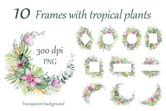 Tropical Watercolor Frames: Illustrations for Sellers