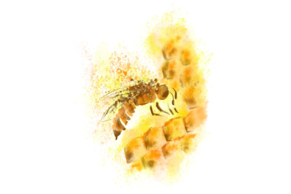 Watercolor Bee Hive: Organic Illustrations for Brands