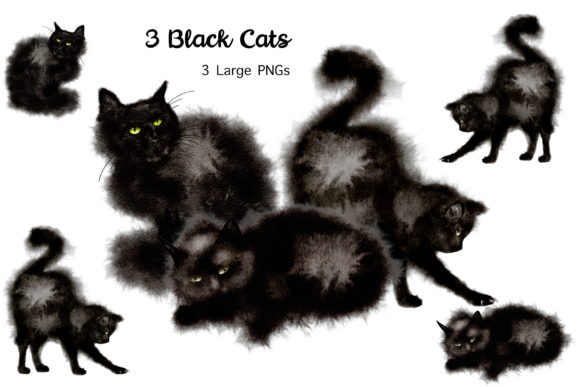 Watercolor Black Cats: Procreate Illustrations for Sellers