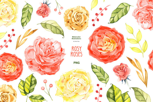 Watercolor Blush Rose PNG Clipart & Illustrations