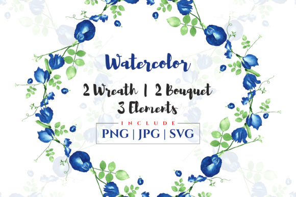 Watercolor Butterfly Pea Leaves Illustrations