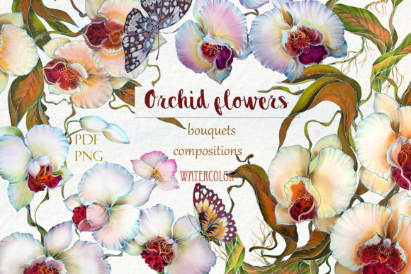 Watercolor Clip Arts Orchids: Premium Illustrations