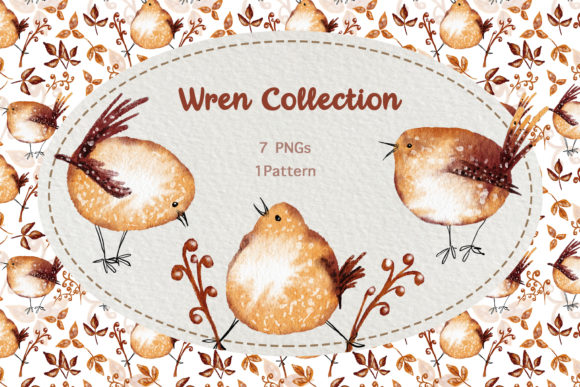 Watercolor Cute Wren Bird Collection and Illustrations