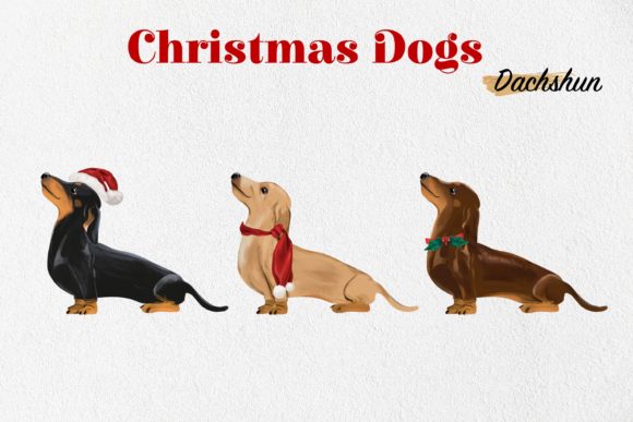 Watercolor Dachshund Clipart: A Designer's Review