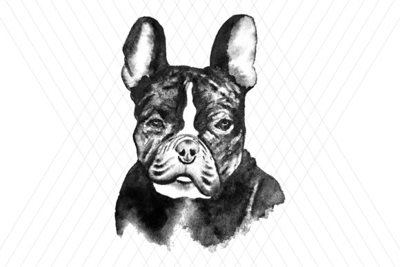 Watercolor DOG Clip Art and Illustrations