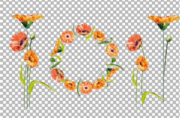 Watercolor Flower Bouquet and Frame Clip Illustrations