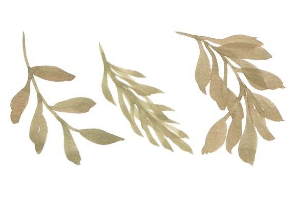 Watercolor Leaf Foliage Paint Set and Illustrations