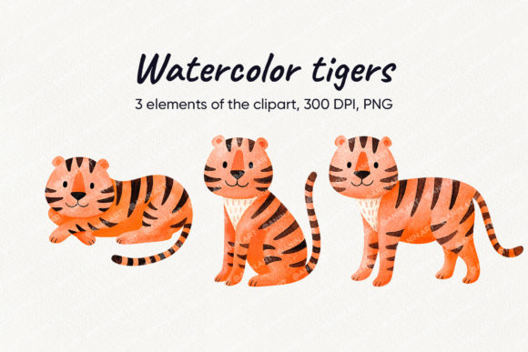 Watercolor Orange Tigers in Three Poses Illustrations