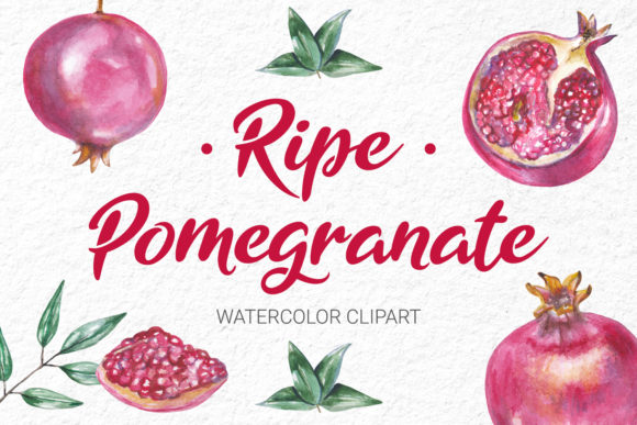 Watercolor Pomegranate Clipart Collection