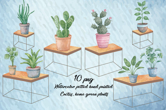 Watercolor Potted Green Cactus plants602 Illustrations Review