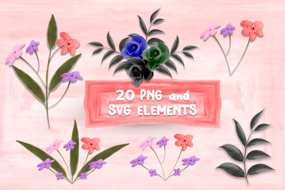 Watercolor Roses and Wild Flowers Illustrations Review