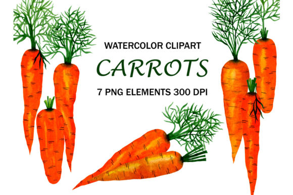 Watercolor Vegetables Clip Art Carrots and Illustrations