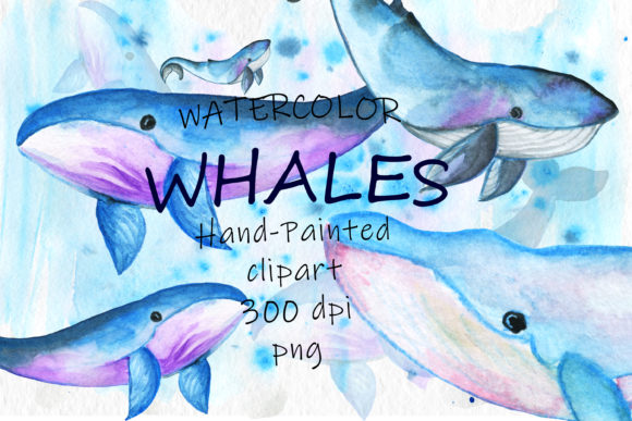 Watercolor Whales Sea Animals Illustrations