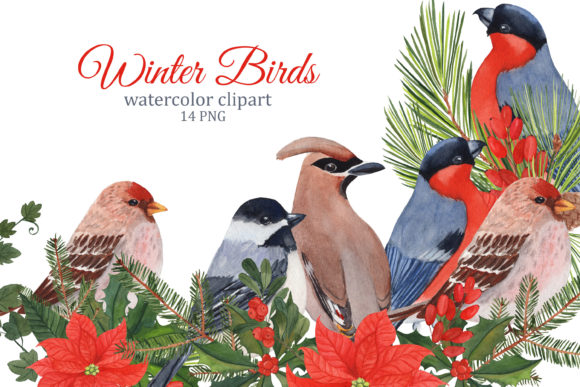 Winter Birds Watercolor Clipart: A Designer's Stitch Review